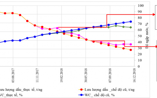 Nghiên cứu đề xuất các giải pháp công nghệ và kỹ thuật nâng cao hệ số thu hồi dầu giai đoạn cuối đối tượng móng mỏ Bạch Hổ
