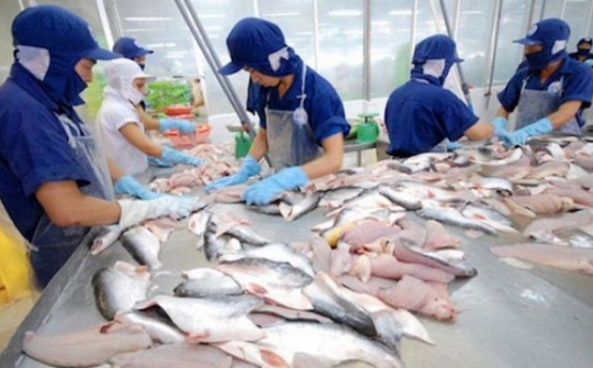 Hoa Kỳ giữ nguyên mức thuế chống phá giá với cá tra, basa từ Việt Nam