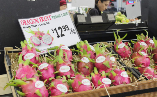 Mở rộng thị trường xuất khẩu: Làm chủ thông tin để xây dựng chiến lược