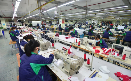 TNG: Lợi nhuận tháng 8 tiếp tục tăng 31%