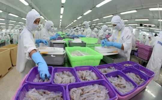 8 tháng, xuất khẩu tôm cán mốc 3 tỷ USD