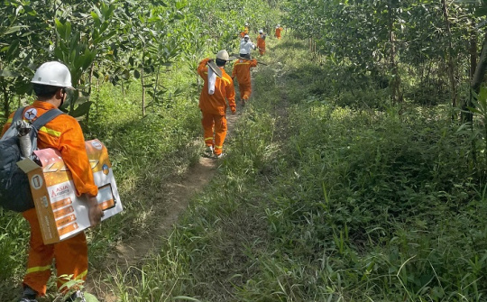 EVN gấp rút chuẩn bị ứng phó trước bão số 4