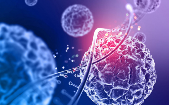 Trung Quốc công bố tiêu chuẩn quốc tế về tế bào gốc đầu tiên trên thế giới