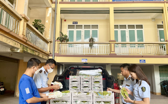 Thái Nguyên: Tiêu hủy 2 tấn trái cây tươi không rõ nguồn gốc, xuất xứ