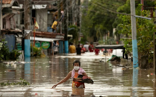 Bão Noru phá huỷ mùa màng, Philippines có thể tăng cường nhập khẩu gạo