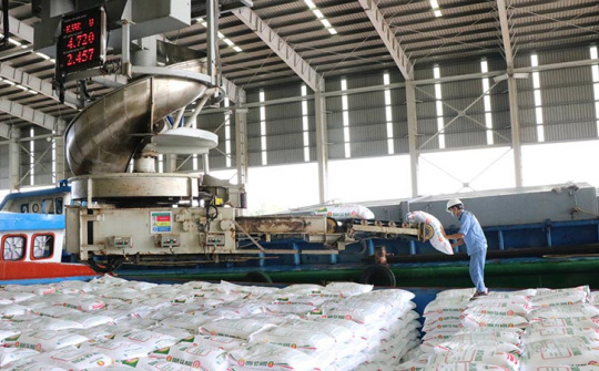 Nhà máy Đạm Cà Mau vận hành 115% công suất sau bảo dưỡng