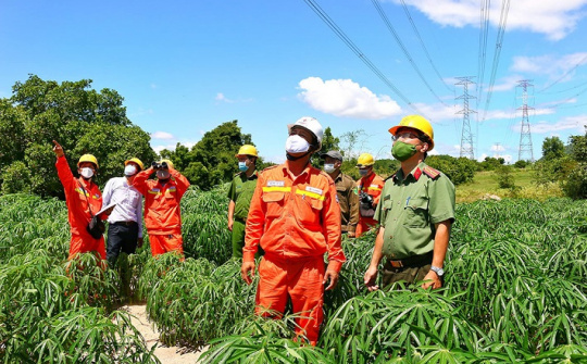 EVN đảm bảo điện ổn định, an toàn trong Lễ Quốc khánh 2/9