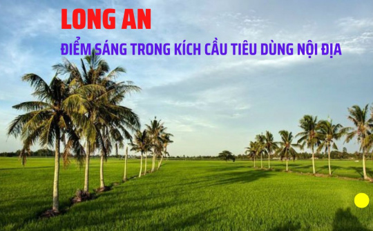 Long An sáng tạo trong kích cầu tiêu dùng nội địa