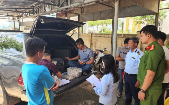 QLTT Gia Lai tạm giữ trên 4.200 sản phẩm trang sức không rõ nguồn gốc xuất xứ