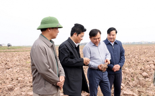 Tập đoàn Điện lực Việt Nam đang thực hiện rất tốt việc cấp nước phục vụ sản xuất vụ Đông Xuân năm 2022-2023