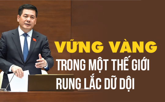 Vững vàng trong một thế giới rung lắc dữ dội