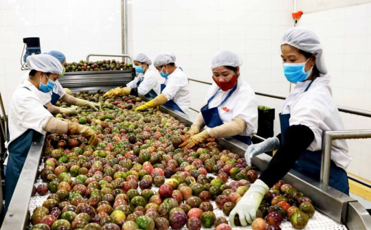 Chuyện của người đi đầu