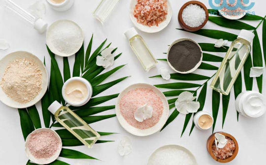 Ý định mua các sản phẩm chăm sóc cá nhân thiên nhiên của người tiêu dùng trên địa bàn Thành phố Hồ Chí Minh