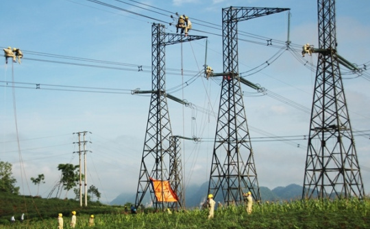 5 dấu ấn nổi bật của PTC1 trong năm 2022