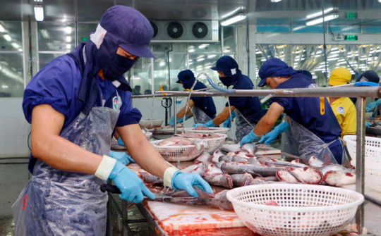 Nam Việt: Lợi nhuận sau thuế năm 2022 tăng hơn 4 lần