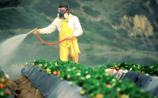 EU ban hành ngưỡng dư lượng một số thuốc diệt cỏ, trừ sâu, trừ nấm