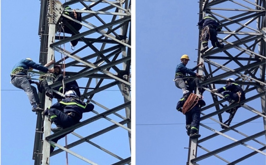 Giải cứu người phụ nữ trèo lên cột điện đường dây 220kV Hòa Bình - Hà Đông 3