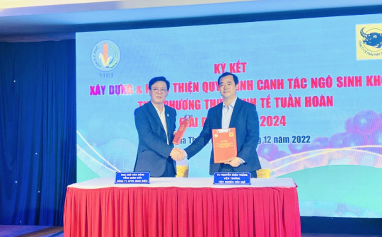 Bình Điền bắt tay hợp tác xây dựng, hoàn thiện quy trình canh tác ngô sinh khối