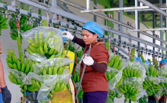 Hoàng Anh Gia Lai (HAG) lùi ngày đáo hạn lô trái phiếu 300 tỷ thêm 2 năm, chờ đợt phát hành 130 triệu cổ phiếu riêng lẻ