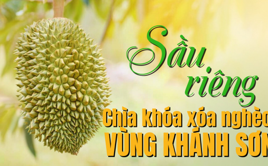 Sầu riêng - Chìa khóa xóa nghèo vùng Khánh Sơn
