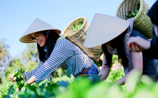Xây dựng mô hình nghiên cứu các nhân tố ảnh hưởng tới lòng trung thành điểm đến của khách du lịch tại các điểm đến du lịch nông nghiệp ở Việt Nam