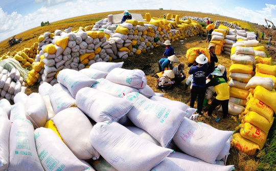 Indonesia chọn Việt Nam và Thái Lan để nhập khẩu thêm 1,5 triệu tấn gạo