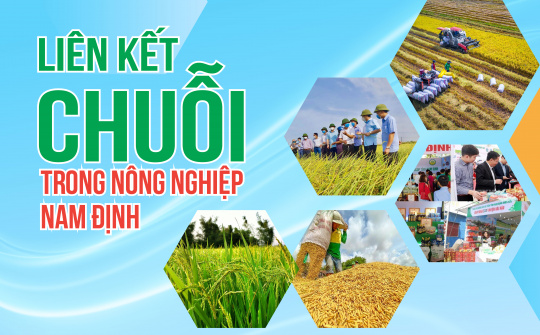 Liên kết chuỗi trong nông nghiệp Nam Định