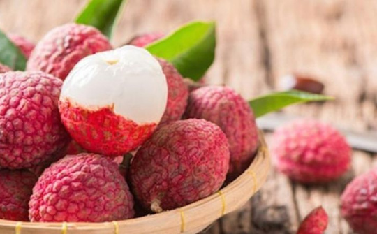 Thực trạng xúc tiến thương mại tiêu thụ vải thiều trên địa bàn huyện Lục Ngạn, tỉnh Bắc Giang