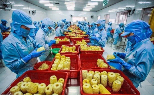 Đầu tư vào yếu tố “tổ chức sản xuất” thông suốt qua chuỗi giá trị bền vững