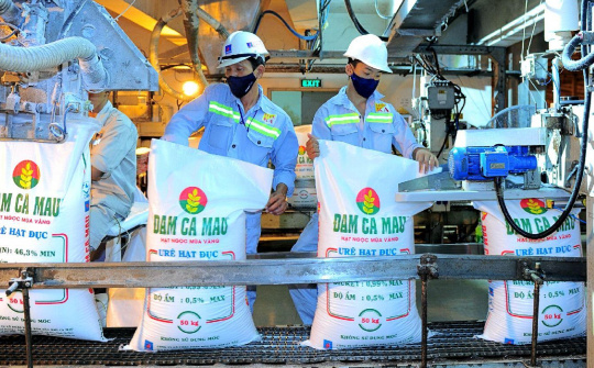 Đạm Cà Mau (DCM): Doanh thu quý 3 ước đạt 9.500 tỷ, lãi ròng năm 2024 có thể tăng 61%