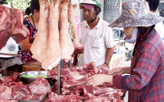 Giá heo hơi hôm nay 16/10: Dịch tả lợn châu Phi tái bùng phát, đã có nơi giá chỉ còn 48.000 đồng/kg