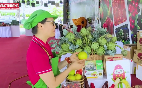 Những quyết sách của Chương trình phát triển thương mại miền núi, hải đảo