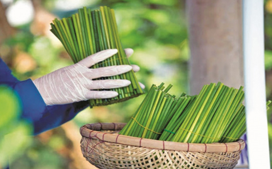 Các yếu tố ảnh hưởng đến hành vi tiêu dùng xanh tại thành phố Thủ Đức