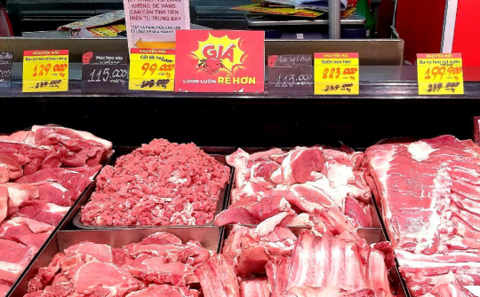 Giá heo hơi hôm nay 17/10: Tiếp tục giảm, thị trường miền Bắc chịu tác động mạnh nhất