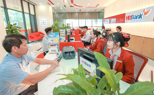 Hãng chứng khoán mà Ngân hàng HDBank (HDB) muốn tham gia góp vốn đang kinh doanh như nào?