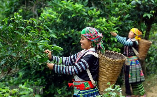 Ý tưởng táo bạo: Xây dựng thương hiệu “bảo lãnh” cho địa danh