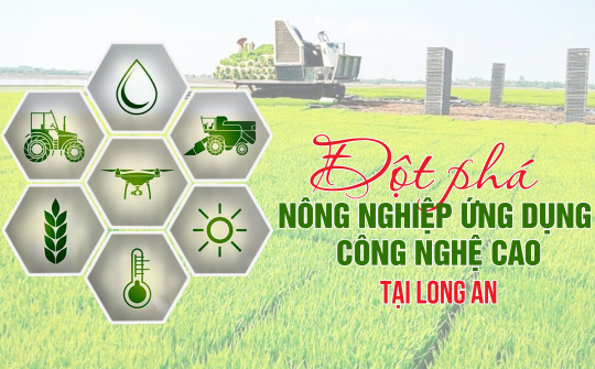 Đột phá nông nghiệp ứng dụng công nghệ cao tại Long An
