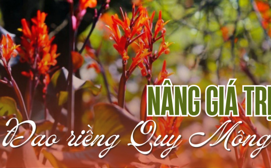 Nâng giá trị đao riềng Quy Mông