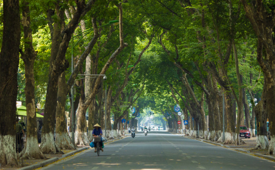 Thời tiết hôm nay ngày 03/10/2023: Hà Nội không mưa, TP. Hồ Chí Minh, Đà Nẵng ngày nắng chiều mưa có mưa to