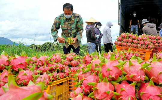 Long An: Sắp diễn ra Hội nghị Kết nối giao thương, xúc tiến xuất khẩu