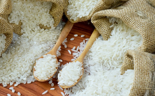 Dự kiến hạn ngạch nhập khẩu gạo, lá thuốc lá khô từ Campuchia năm 2023 và 2024