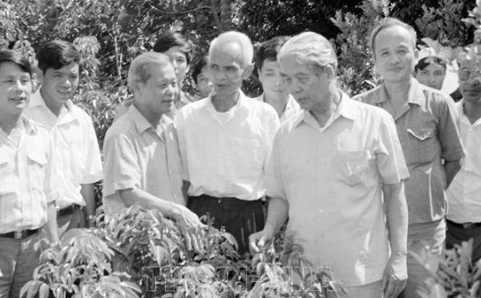 Tổ chức bộ máy ngành Công Thương giai đoạn 1986 - 1995