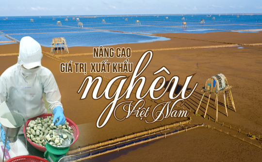 Nâng cao giá trị  xuất khẩu nghêu Việt Nam