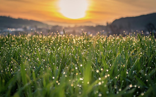 Thời tiết hôm nay ngày 25/10/2023: Hà Nội sáng sớm trời lạnh, chiều có mưa vài nơi