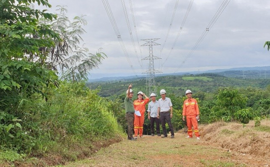 Truyền tải điện 3: Bảo vệ an toàn hành lang lưới điện