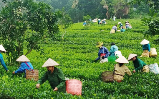 Phân bổ, điều chỉnh kế hoạch đầu tư vốn ngân sách trung ương năm 2023