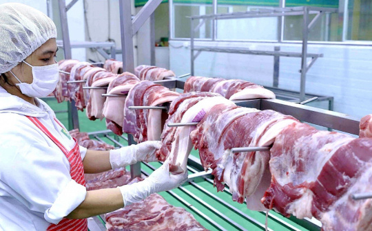 Giá heo hơi hôm nay 28/10: Giảm tại miền Bắc và miền Trung