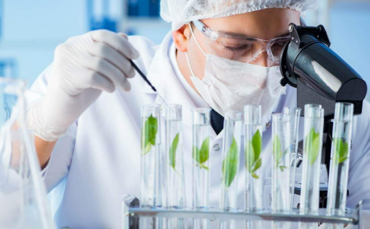 Top 5 Trường đại học có ngành công nghệ sinh học tốt nhất