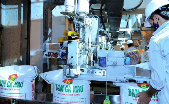 Dự báo lãi ròng quý 4/2023 của Đạm Cà Mau (DCM) sẽ bật tăng mạnh