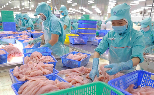 Bận tiếp phái đoàn Mỹ, Thuỷ sản Vĩnh Hoàn (VHC) xin lùi hạn nộp BCTC quý 3/2023